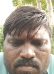 Umesh Chauhan, 36 лет, Dārwhā