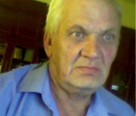 Сергей, 70 лет, Нижний Тагил