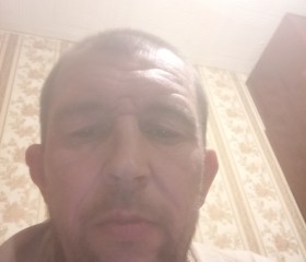 Дмитрий, 46 лет, Железногорск (Курская обл.)