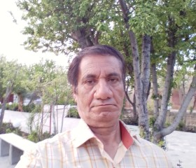 Ali Kashkooli, 62 года, تِهران