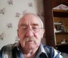 николай, 67 лет, Алейск