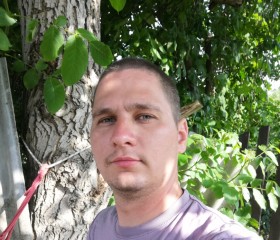 Александр, 31 год, Кореновск