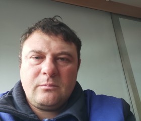 Дима, 36 лет, Горад Гомель