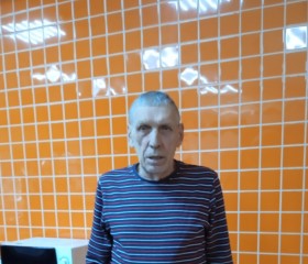 Виктор Прохоренк, 67 лет, Барнаул