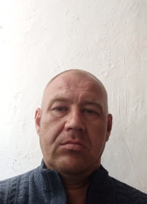 Владимир, 41, Рэспубліка Беларусь, Чашнікі