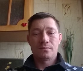 юрий, 48 лет, Димитровград