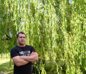 Андрей, 30 лет, Гусев