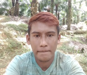 Saman, 31 год, Kota Samarinda