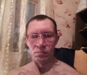 Сергей, 45 лет, Шатура
