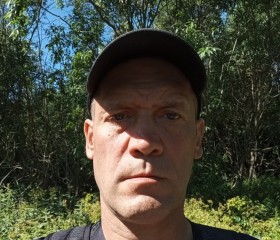 Михаил, 43 года, Архангельск