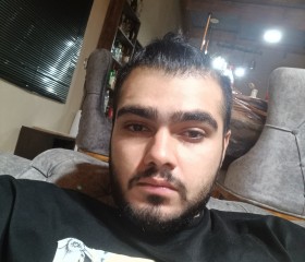Artin Tehrani, 25, Tehran