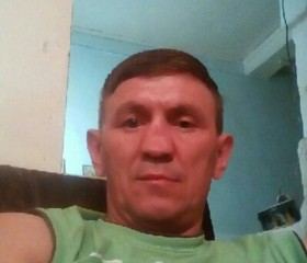 Николай, 51 год, Казань