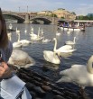 Елизавета