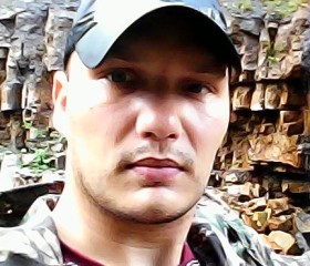 Ярослав, 37 лет, Бокситогорск