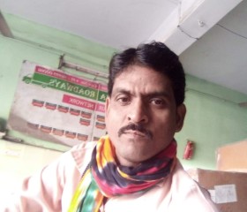 Rajesh kumar, 36 лет, Surat