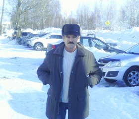 Роман, 56 лет, Казань