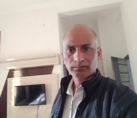 Dharmveer Chaudh, 45 лет, Delhi