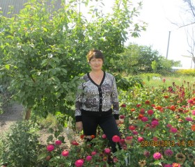 Наталья, 68 лет, Бровари