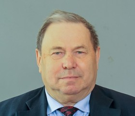 Пётр Слепокуров, 71 год, Липецк