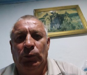 Валодя Касацкии, 66 лет, Павлодар