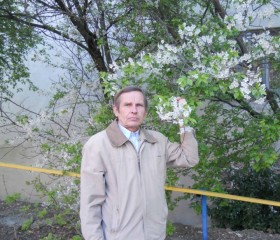 Вячеслав, 75 лет, Симферополь