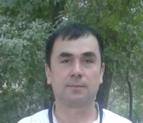 Алишер, 38 лет, Toshkent