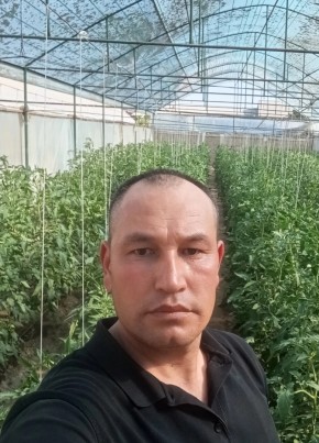Улугбек из Электрогорска 36 лет