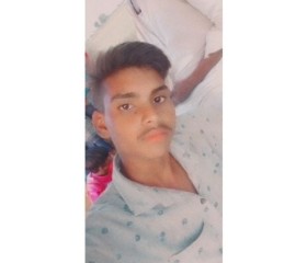 Vishal Kushwah, 19 лет, Bhopal