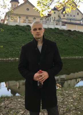Владислав, 27, Рэспубліка Беларусь, Горад Нясвіж