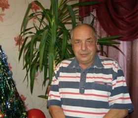 Вячеслав, 72 года, Реж