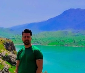 Mohammad, 25 лет, شیراز