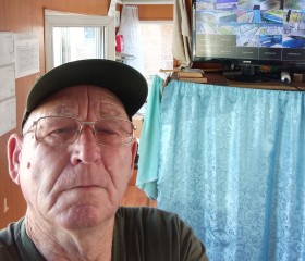 Николай, 71 год, Воронеж