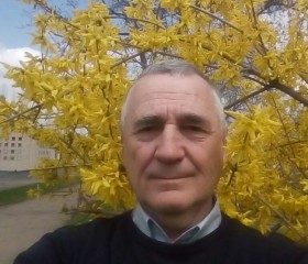 владимир, 67 лет, Тула