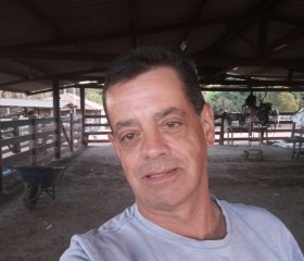 Adriano Vieira R, 53 года, Goiânia