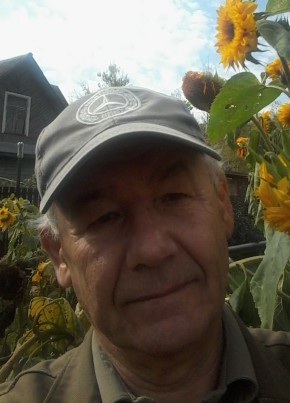 Николай Гордеев, 73, Россия, Санкт-Петербург