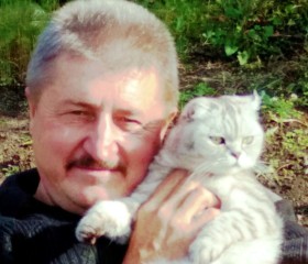 евгений, 67 лет, Тольятти