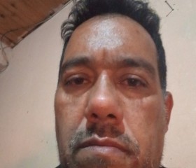 Cristina, 45, Santa Fe de la Vera Cruz