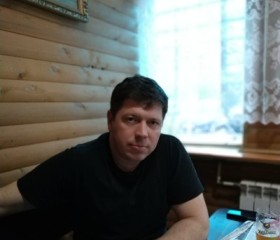 александр, 51 год, Петрозаводск