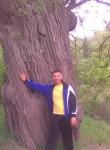 Николай, 37 лет