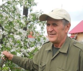 Сергей, 78 лет, Петрозаводск