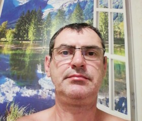 Igor, 48 лет, Тула