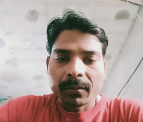 Akhilesh kamar, 38 лет, Jalandhar