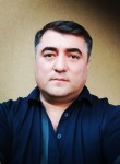 Farruh, 39 лет, Toshkent