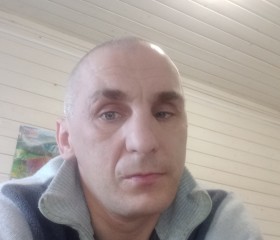 Михаил Фомин, 43 года, Алексин