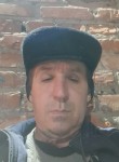 Юрий Лактионов, 45 лет, Гиагинская