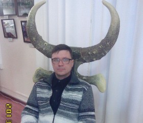 Евгений, 55 лет, Томск