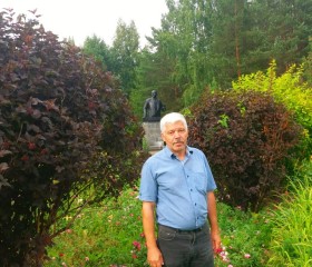 Василий, 63 года, Пермь