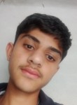 Khizar, 18 лет, Butte