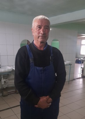 Темур, 68, Россия, Безенчук