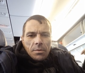 Андрей Ханин, 44 года, Воронеж
